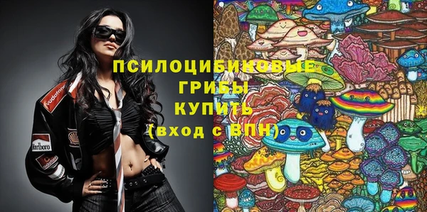 МДМА Арсеньев